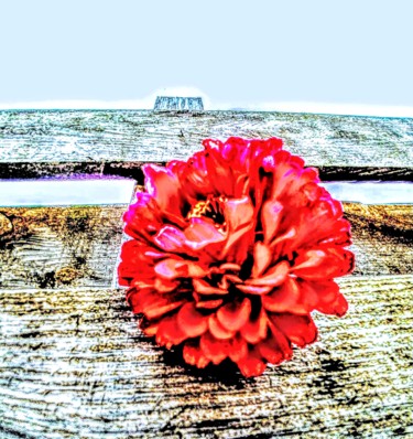Arts numériques intitulée "Red flower" par Natas Dam, Œuvre d'art originale, Peinture numérique