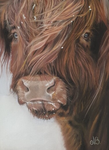 Dessin intitulée "Highland, vache ang…" par Nad Bonzi, Œuvre d'art originale, Pastel