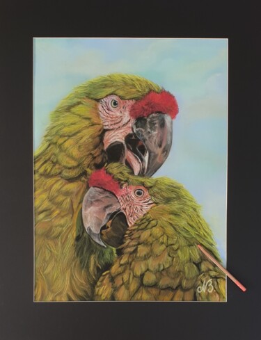 Рисунок под названием "Perroquets verts" - Nad Bonzi, Подлинное произведение искусства, Пастель
