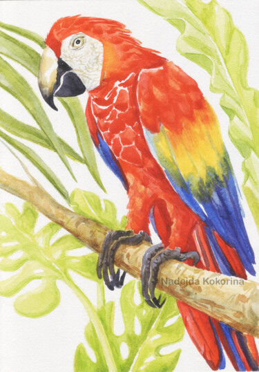 Malerei mit dem Titel "Maw Parrot in the j…" von Nadezhda Kokorina, Original-Kunstwerk, Aquarell