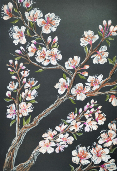 Tekening getiteld "Cherry blossoms dra…" door Nadezhda Kokorina, Origineel Kunstwerk, Pastel