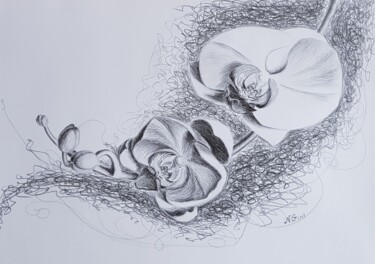 Рисунок под названием "Архидеи" - Надежда Потехина, Подлинное произведение искусства, Карандаш