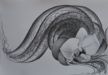 Картина под названием "Архидея." - Надежда Потехина, Подлинное произведение искусства, Карандаш