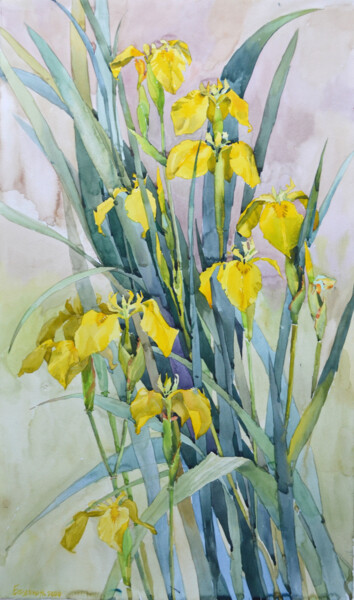 Malerei mit dem Titel "Swamp calamus" von Nadia Boldina, Original-Kunstwerk, Aquarell