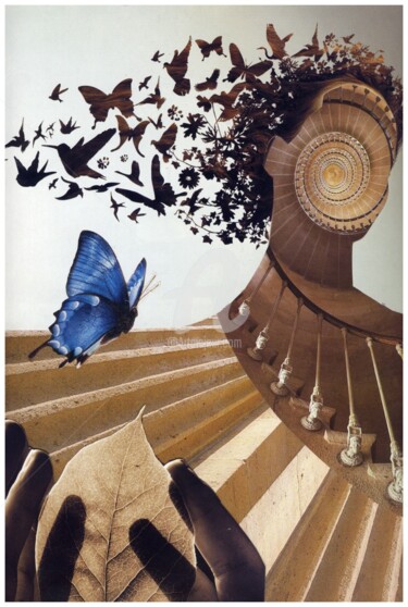 Photographie intitulée "Papillon.jpg" par Nadine Hiver, Œuvre d'art originale