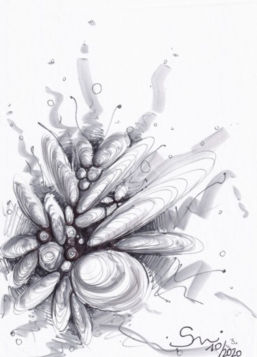 Drawing titled "Coquillages" by Nadine Stoeltzlen, Original Artwork, Ballpoint pen