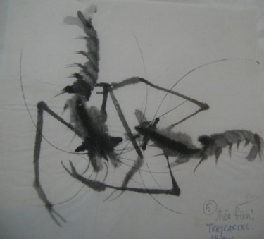 Drawing titled "Crevettes1" by Nadine Trescartes (fildefériste), Original Artwork, Ink