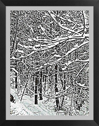 Sous bois de février à Megève Arts numériques intitulée "Sous bois de févrie…" par Henohut, Œuvre d'art originale,