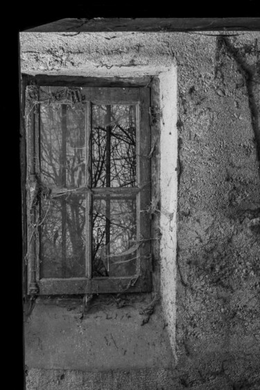 Fotografie getiteld "WINDOWS 005" door Naep, Origineel Kunstwerk, Digitale fotografie