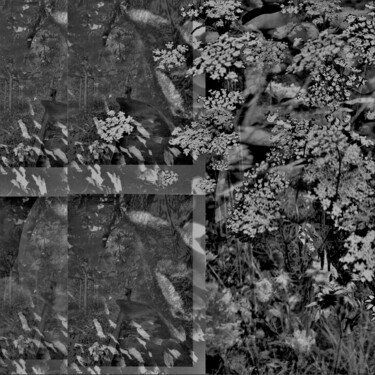 Digitale Kunst getiteld "Forêt, Forêt Verte…" door Nana Plamadeala-Kiritchenko, Origineel Kunstwerk, Foto Montage