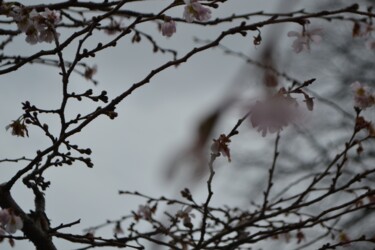 Fotografía titulada "les Saisons 94" por Nana Plamadeala-Kiritchenko, Obra de arte original, Fotografía no manipulada