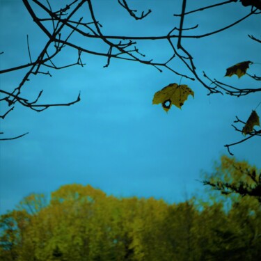 Photographie intitulée "l'automne est arriv…" par Nana Plamadeala-Kiritchenko, Œuvre d'art originale, Photographie manipulée
