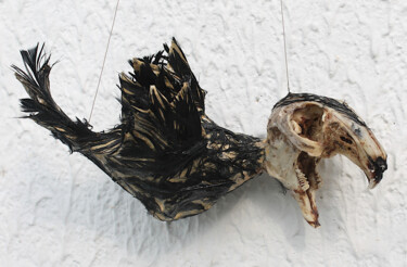 Скульптура под названием "Le petit déplumé" - Nancy Cardinal, Подлинное произведение искусства, Папье-маше