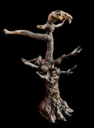 Skulptur mit dem Titel "L'arbre qui voulait…" von Nancy Cardinal, Original-Kunstwerk, Gips