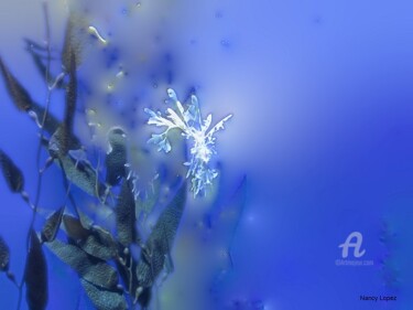 Digital Arts titled "FLEUR D'EAU 21" by Nancy Lopez, Original Artwork, Digital Painting Mounted on Wood Stretcher frame