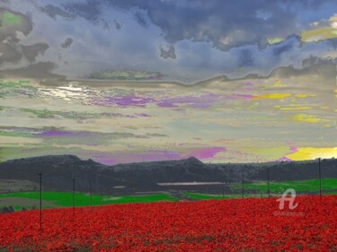 Digital Arts titled "LES COQUELICOTS" by Nancy Lopez, Original Artwork, Digital Painting Mounted on Wood Stretcher frame