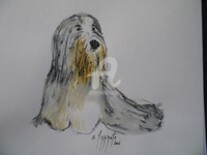 Dessin intitulée "chien COLLIE BARBU…" par Nadine Pizzinato, Œuvre d'art originale, Autre