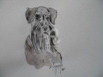 Dessin intitulée "CHIEN SCHNAUZER NAI…" par Nadine Pizzinato, Œuvre d'art originale, Autre