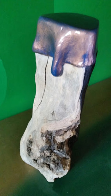 Sculptuur getiteld "protesi 2.jpg" door Narciso Albanese, Origineel Kunstwerk, Hout