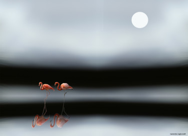 Digitale Kunst getiteld "flamingos are every…" door Narendraraghunath, Origineel Kunstwerk