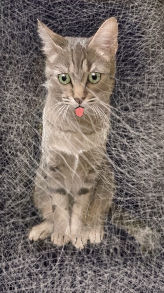 Digital Arts με τίτλο "Cat1" από Nasy Zachou, Αυθεντικά έργα τέχνης, Ψηφιακή ζωγραφική