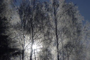 摄影 标题为“Зима” 由Ната К, 原创艺术品, 数码摄影