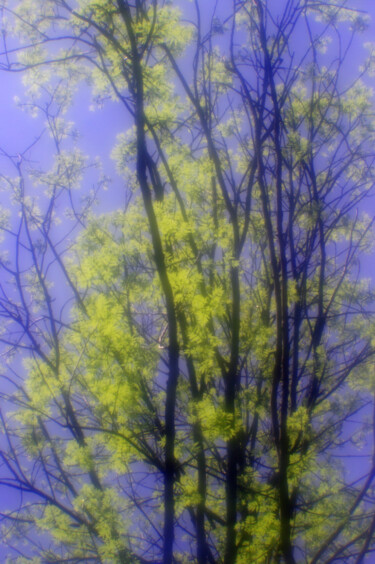Photography titled "spring light" by Nata K, Original Artwork, Digital Photography