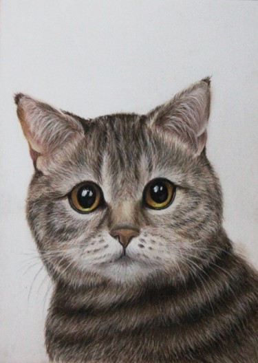 Disegno intitolato "the cat" da Nata New, Opera d'arte originale, Pastello
