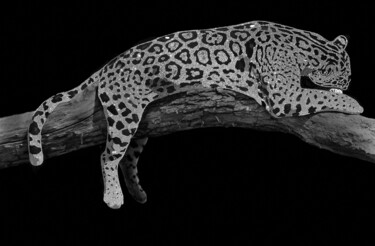 Pittura intitolato "Leopardo swarovski…" da Natalia Komar, Opera d'arte originale, Stampa digitale Montato su Plexiglass