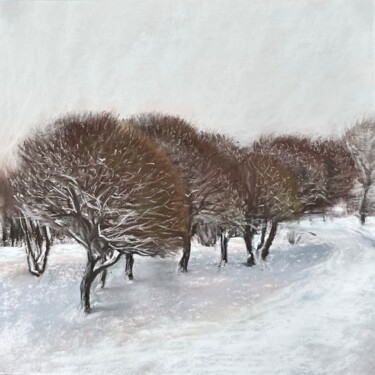 Painting titled "Trees in January  P…" by Natalia Balashova. Pastelist., Original Artwork, Pastel