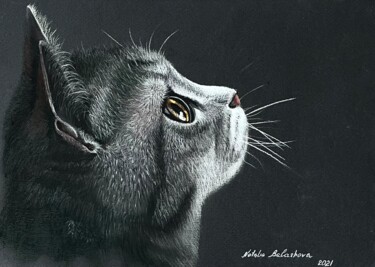 Malerei mit dem Titel "Kitten portrait.  P…" von Natalia Balashova. Pastelist., Original-Kunstwerk, Pastell Auf Keilrahmen a…