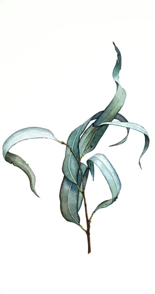 Painting titled "Еucalyptus" by Natalia Buhaienko, Original Artwork, Watercolor