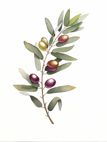 Painting titled "Olive I" by Natalia Buhaienko, Original Artwork, Watercolor