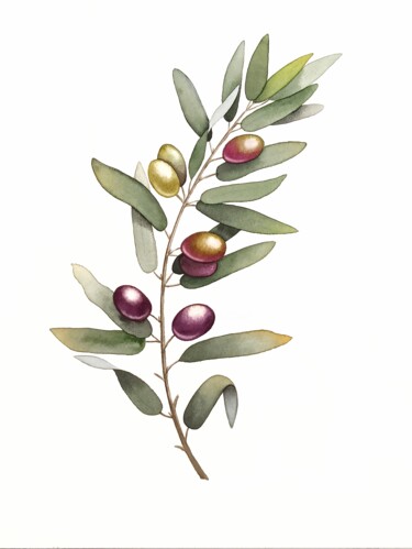 Peinture intitulée "Olive I" par Natalia Buhaienko, Œuvre d'art originale, Aquarelle