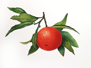 Pintura intitulada "Tangerine holiday" por Natalia Buhaienko, Obras de arte originais, Aquarela