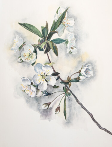 Картина под названием "Цветение вишни" - Наталия Иванченко, Подлинное произведение искусства, Акварель