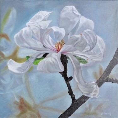 Malerei mit dem Titel "Weiße Magnolie" von Natalia Jelusic, Original-Kunstwerk, Öl
