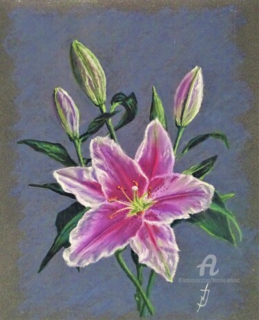 Drawing titled "Rose Lilien" by Natalia Jelusic, Original Artwork, Pastel