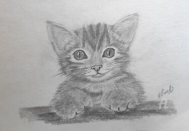 Картина под названием "Весёлый котёнок" - Наталия К (Юрочкина), Подлинное произведение искусства, Карандаш