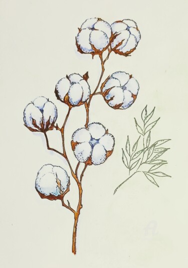 Peinture intitulée "Fleur de coton" par Nataliia K (Iurochkina), Œuvre d'art originale, Aquarelle