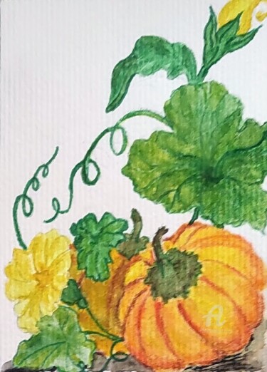 Рисунок под названием "Тыква (ботаника)" - Наталия К (Юрочкина), Подлинное произведение искусства, Акварель
