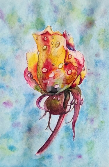 Картина под названием "La rosée tombe sur…" - Наталия К (Юрочкина), Подлинное произведение искусства, Акварель