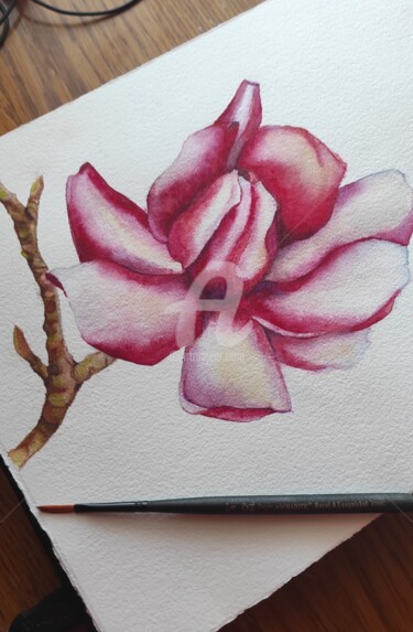 Painting titled "Magnolia satiné" by Nataliia K (Iurochkina), Original Artwork, Watercolor