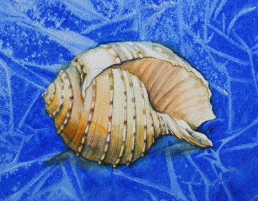 Painting titled "conchiglia" by Natalia-Khromykh, Original Artwork, Watercolor