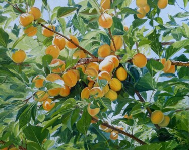 Painting titled "Apricots" by Natalia Korbukh, Original Artwork, Oil