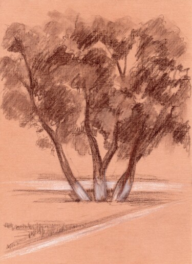 Dessin intitulée "Деревья в парке" par Natalia Kurmaeva, Œuvre d'art originale, Crayon
