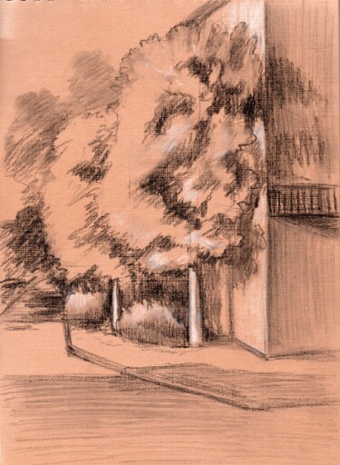 Dibujo titulada "Деревья у дома" por Natalia Kurmaeva, Obra de arte original, Carbón