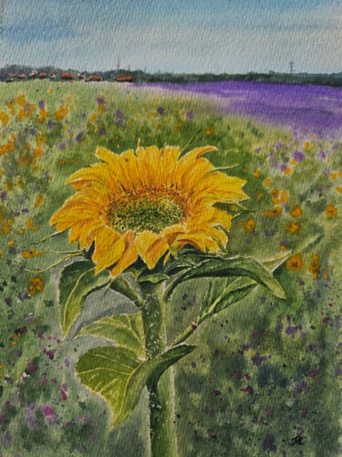 Pintura intitulada "Sunflower" por Natalia Kuznetsova, Obras de arte originais, Aquarela