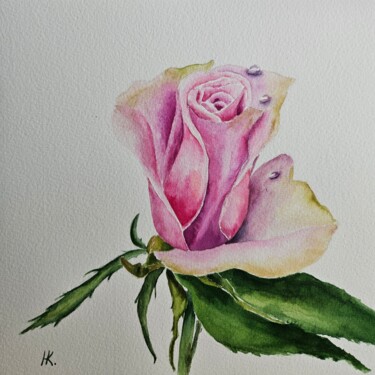 Painting titled "Rose" by Natalia Kuznetsova, Original Artwork, Watercolor