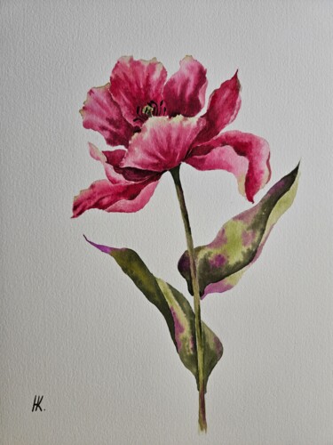Painting titled "Tulip" by Natalia Kuznetsova, Original Artwork, Watercolor